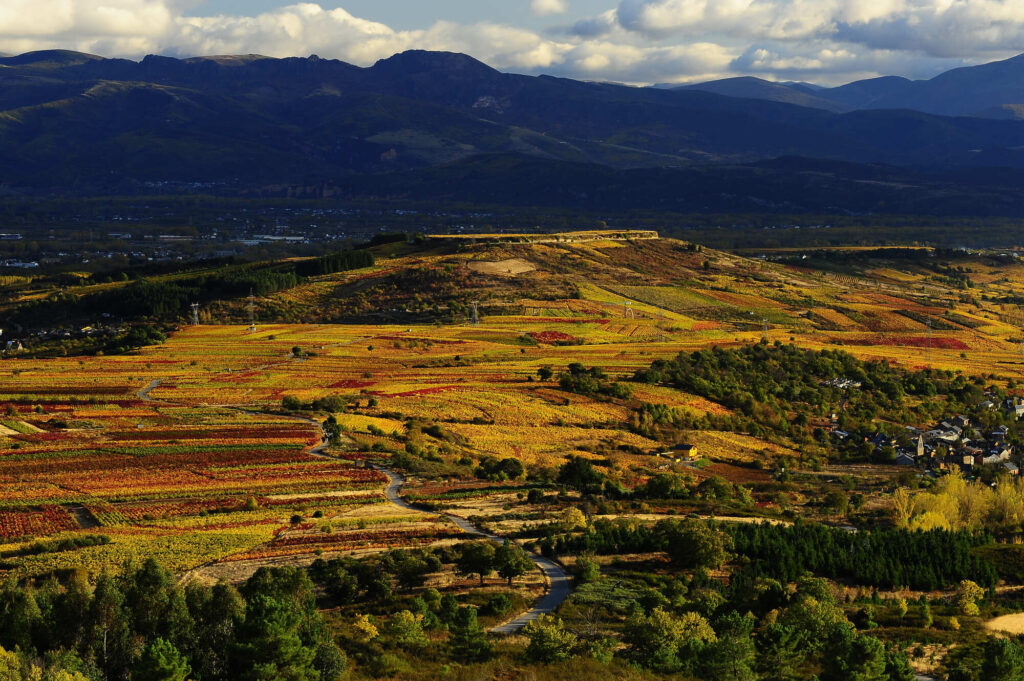 Castro Ventosa, un enclave perfecto para el turismo rural a 10' de la bodega de Puerta del Viento en Arborbuena
