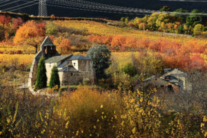 Iglesia de Pieros, una de las localidades donde Puerta del Viento cuenta con viñedos ecológicos para la elaboración de su vino sin sulfitos