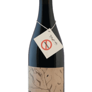 Puerta del Viento Cepas Viejas 2022