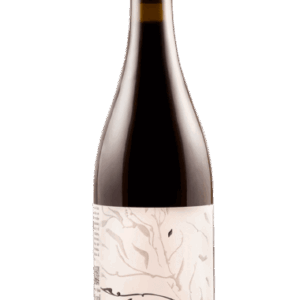 Puerta del Viento Mencía 2023